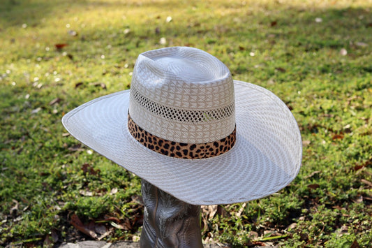 1" Leopard Hat Band